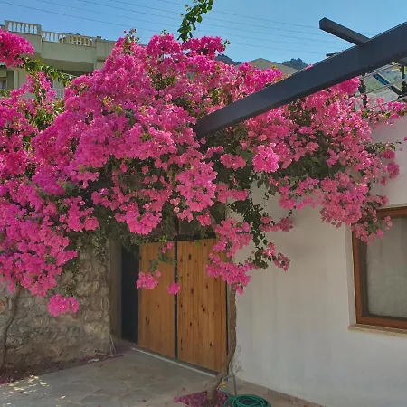 Apartament Nehir - Mugla *
